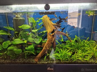 Akvarium diversa 120l so skrinkou - 2