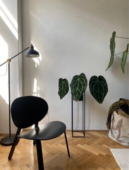 RANARP velka Ikea lampa - 2