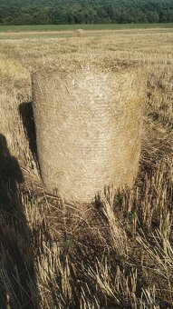 Pradam slamu slama - 2