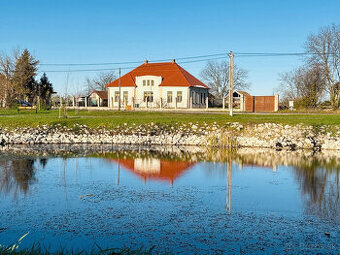 Na predaj rekonštruovaná HISTORICKÁ VILA na pozemku 6654 m2 - 2