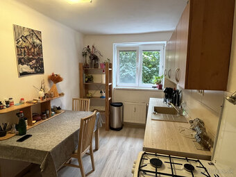 2-izb Tehlový STARÉ MESTO- JILEMNICKÉHO, OV, 60m2 - 2