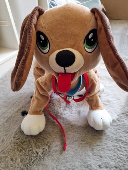 Predám psíka Floppy - 2