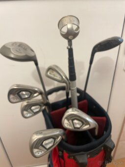 Golfové palice Rogue - 2