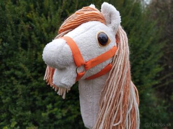 Hobby horse - 2