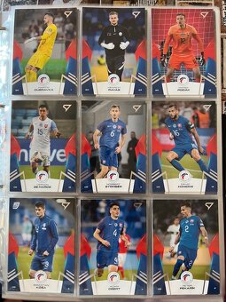 Slovenskí Sokoli 2024 - 2