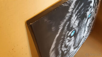 Predám obraz tigra tlac na platne. - 2