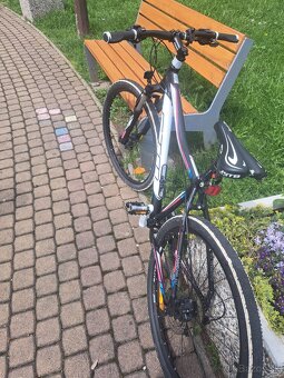 Damsky horáky bicykel CTM Charisma 3.0 - 2