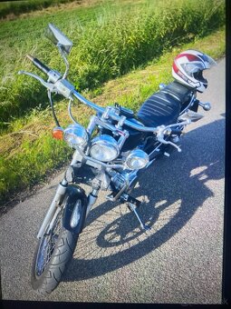 Suzuki Savage 650 - 2