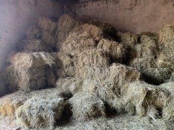 Balíky sena - 2