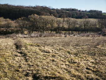 Pozemok na predaj Župčany - 2