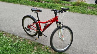 Predám detský horský 24" bicykel Dema Pegas - 2