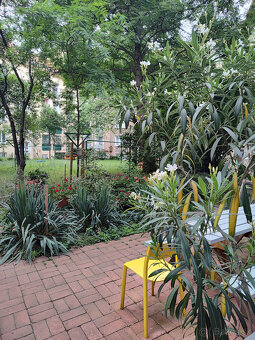 PRENÁJOM: 2 izbový byt, BA I - Staré mesto, Žabotova ulica - 2