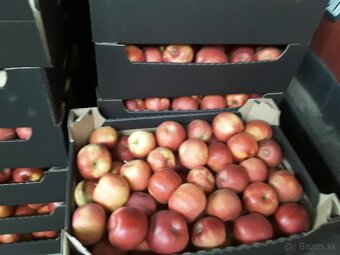 Predaj jablk - 2