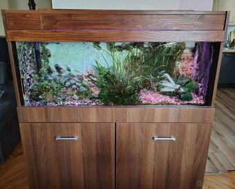 aquarium - 2