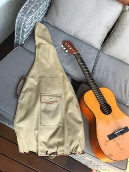 Predam Gitaru - 2