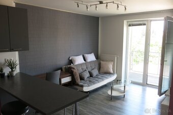 1,5 IZB BYT GARBIARSKA UL,KOŠICE/1,5 ROOM APT IN CITY CENTER - 2