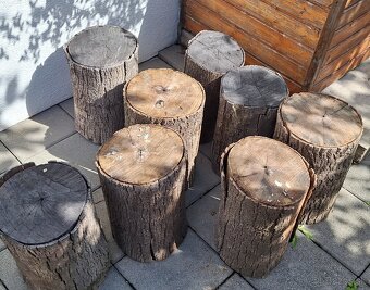 Drevený peň - 2