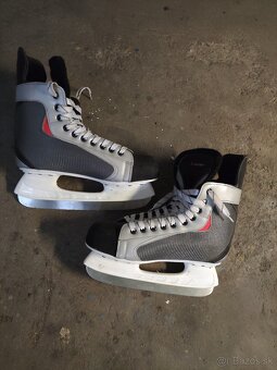 Brusle Ontario 43 - 2