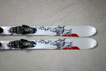 Freestyle salomon 151 cm - 2