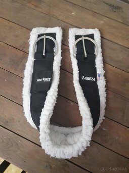 Podbrušnik westernový - 2