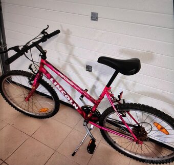 Damsky horsky bicykel - 2