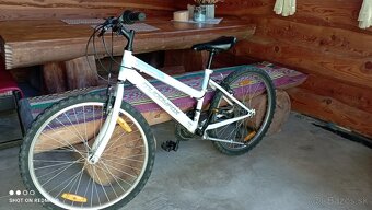 Bicykel - 2