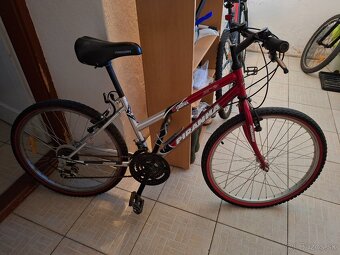 Horský bicykel - 2