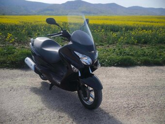 Suzuki Burgman 125cm r.v 2016 - 2