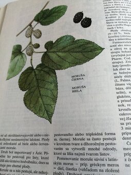 Atlas liečivých rastlín a lesných plodov--1982--Kresánek Jar - 2
