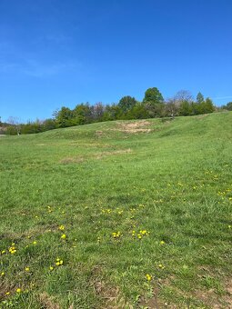 Predaj pozemku na výstavbu domov v meste Banská Štiavnica. - 2