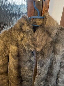 Pravý Kozuch Kozinka - 2