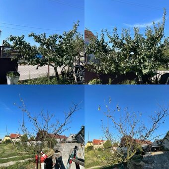 Strihanie, orez stromov a kríkov - 2