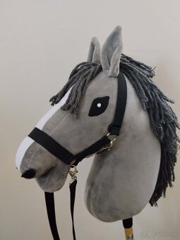 Hobby Horsing - 2