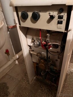 Protherm Medved 20 PLO - 2