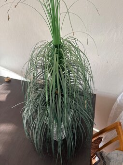 Umelé kvety - 2