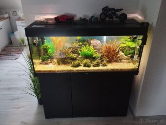 Predam jewelriio 240l - 2