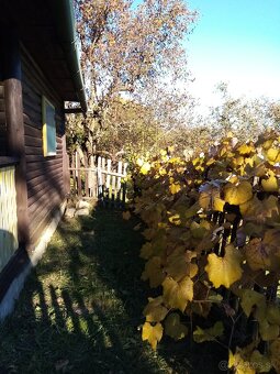 Chata na predaj Divín - 2