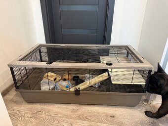 Klietka pre skrecka - 2