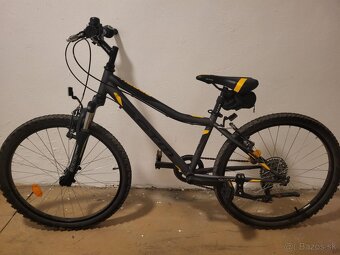 CTM Berry 2.0 24" - 2