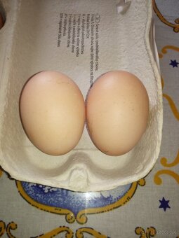 Domace vajcia - 2