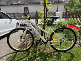 Dámsky bicykel Dema Ecco - 2