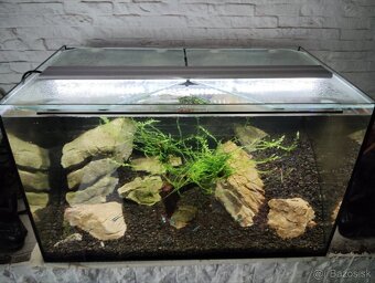 Akvarium 50L - 2