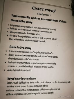 Čistec rovný sušený - 2