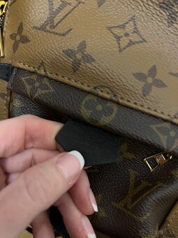 Louis Vuitton Palm Springs Mini Reverse - 2
