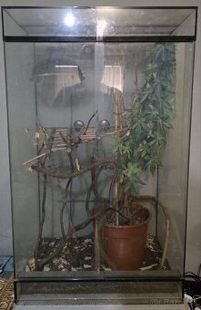 Predam terraria pre chameleona - 2