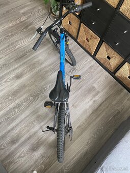 Bicykel BUDDY DLPRAN 20 - 2