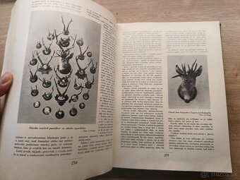 Naše poľovníctvo 1935 - 2