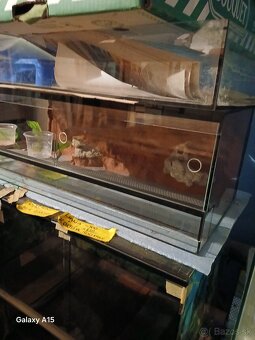 Voľne Terária + AquaTerárium - 2