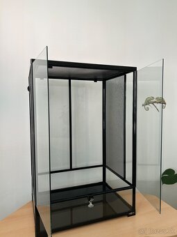 Terárium - 2