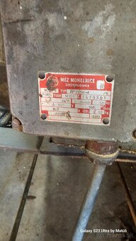 Cirkulárka starsia - 2